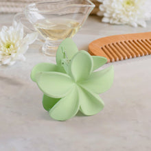 Matte Finish Hair Claw Clip (1 Pc / Mix Color)