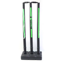 Training cricket stumps set