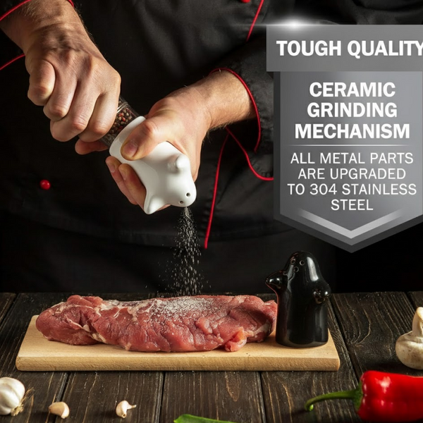 Salt and Pepper Seasoning and Spice Shakers Cute Plastic (2 Pcs Set)