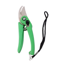 Garden Shears Pruners Scissor for Cutting Branches, Flowers, Leaves, Pruning Seeds